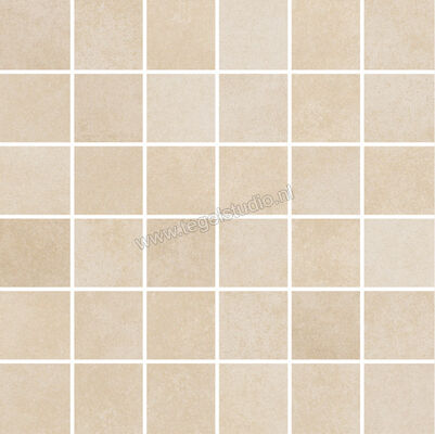  Villeroy & Boch Section Sand brown 30x30 cm Mozaiek Mat Vlak vilbostonePlus 2031 SZ10 5 | 29285