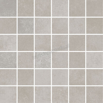  Villeroy & Boch Section Cement grey 30x30 cm Mozaiek Mat Vlak vilbostonePlus 2031 SZ60 5 | 29286