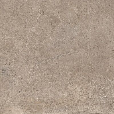  NovaBell Lounge Earth 60x60 cm Vloertegel / Wandtegel Mat Gestructureerd Naturale LNG60RT | 293303