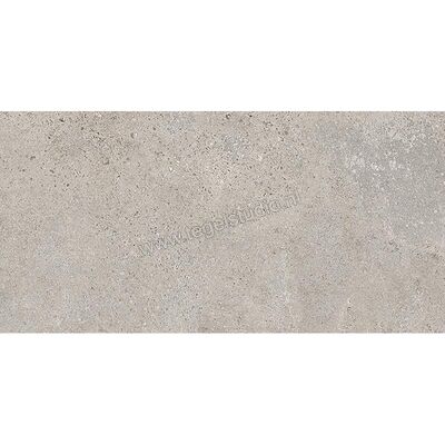  NovaBell Lounge Steel 40x80x3 cm Terrastegel Mat Gestructureerd Naturale LNG248R | 293366