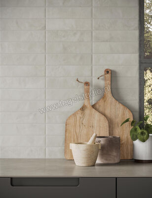  Marca Corona Miniature Cera Cera Grigio Cenere 6x24 cm Decor Mat Gestructureerd Naturale J414 | 293783