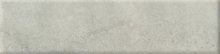  Marca Corona Miniature Cera Cera Grigio Cenere 6x24 cm Decor Mat Gestructureerd Naturale J414 | 293963