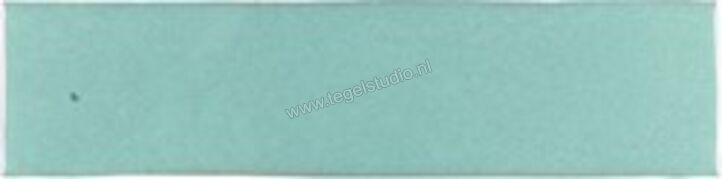 Marrakech Zelij Verde Claro 5x20 cm Decor Glanzend Vlak Lucido MZ1020 | 294584