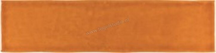 Marrakech Zelij Naranja Dif Special 5x20 cm Wandtegel Glanzend Vlak Lucido MZ2620 | 294587