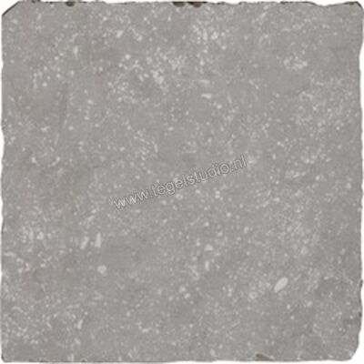 Antic Decor Pave Belgica Grey 19.7x19.7 cm Vloertegel / Wandtegel Mat Vlak Matt AP2073 | 294797