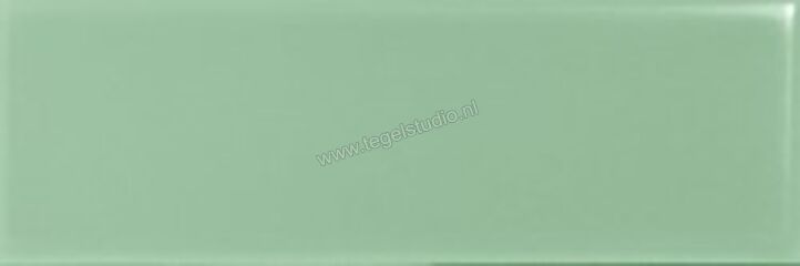 Quintessenza Färgblock Menta Lucido 5x15 cm Wandtegel Glanzend Vlak Lucido FGB106L | 294815
