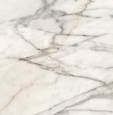  Marazzi Fabula Golden 60x60 cm Vloertegel / Wandtegel Mat Vlak Naturale MN4A | 296099