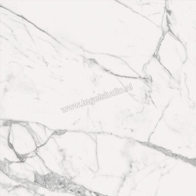  Marazzi Fabula Statuario 100x100 cm Vloertegel / Wandtegel Mat Vlak Naturale MMDZ | 296129