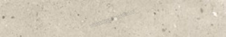 Heritage Alter Ego Sabbia 20x120 cm Vloertegel / Wandtegel Mat Vlak PE1232 | 298396