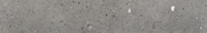 Heritage Alter Ego Grigio Scuro 20x120 cm Vloertegel / Wandtegel Mat Vlak PE1234 | 298402