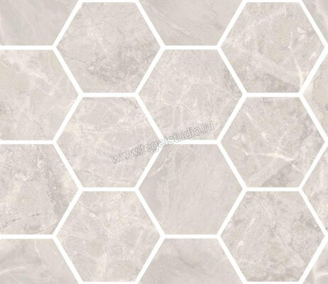  Sant Agostino Trumarmi Silver 30x34.5 cm Decor Maxi Class Krystal Glanzend Vlak Krystal CSAMCTSK34 | 305444