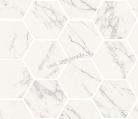  Sant Agostino Trumarmi Venatino 30x34.5 cm Decor Maxi Class Krystal Glanzend Vlak Krystal CSAMCTVK34 | 305447