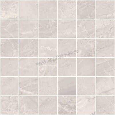  Sant Agostino Trumarmi Silver 30x30 cm Mozaiek 5x5 Mat Vlak Naturale CSAMTMSI30 | 305474
