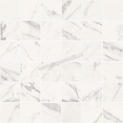  Sant Agostino Trumarmi Venatino 30x30 cm Mozaiek 5x5 Mat Vlak Naturale CSAMTMVE30 | 305477