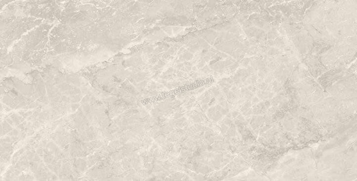  Sant Agostino Trumarmi Silver 60x120 cm Vloertegel / Wandtegel Glanzend Vlak Krystal CSATMSIK12 | 305546