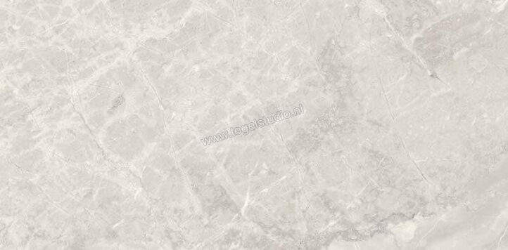  Sant Agostino Trumarmi Silver 30x60 cm Vloertegel / Wandtegel Glanzend Vlak Krystal CSATMSIK30 | 305552