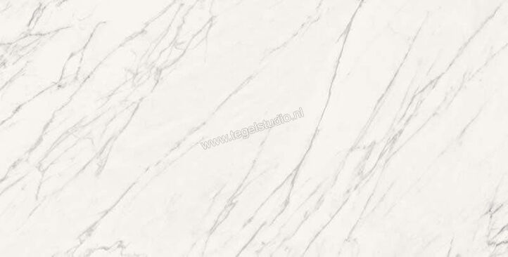  Sant Agostino Trumarmi Venatino 60x120 cm Vloertegel / Wandtegel Glanzend Vlak Krystal CSATMVEK12 | 305567