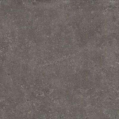 Emilceramica Mapierre Noble Noir 60x60 cm Vloertegel / Wandtegel Mat Gestructureerd Naturale ELQV | 306113