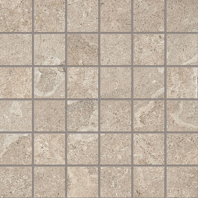  Emilceramica Mapierre Ancienne Naturel 30x30 cm Mozaiek 5x5 Mat Gestructureerd Naturale EM08 | 306191