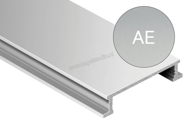  Schlüter Systems DESIGNLINE-AE Decor profiel AE - Alu, bruut mat geanodiseerd Sterkte: 6 mm Breedte: 25 mm Lengte: 2,5 m DL625AE | 312554