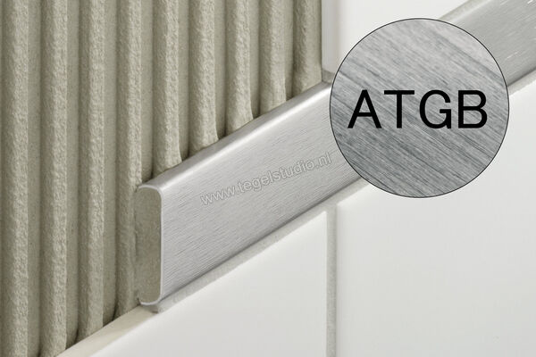Schlüter Systems DESIGNLINE-ATGB Decor profiel ATGB - Alu. titanium geborsteld geanodiseerd Sterkte: 6 mm Breedte: 25 mm Lengte: 2,5 m DL625ATGB | 312641