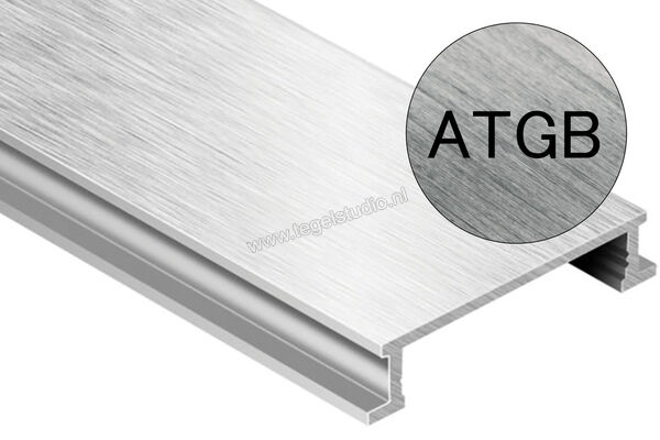 Schlüter Systems DESIGNLINE-ATGB Decor profiel ATGB - Alu. titanium geborsteld geanodiseerd Sterkte: 6 mm Breedte: 25 mm Lengte: 2,5 m DL625ATGB | 312644