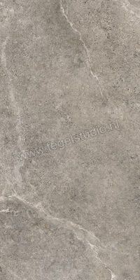  Villeroy & Boch Rustic Blend Medium Grey 60x120 cm Vloertegel / Wandtegel Mat Vlak Vilbostoneplus 2776 RS61 0 | 313373