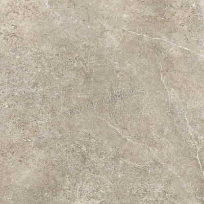  Villeroy & Boch Rustic Blend Light Grey 80x80 cm Vloertegel / Wandtegel Mat Vlak Vilbostoneplus 2879 RS60 0 | 313388