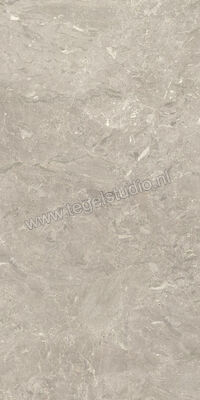  Villeroy & Boch Tri.Art Dolomia Grey 60x120 cm Vloertegel / Wandtegel Mat Vlak Vilbostoneplus 2740 BS70 0 | 313400