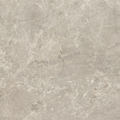  Villeroy & Boch Tri.Art Dolomia Grey 60x60 cm Vloertegel / Wandtegel Mat Vlak Vilbostoneplus 2722 BS70 0 | 313406