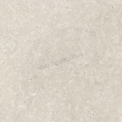  Villeroy & Boch Tri.Art Duna White Grey 60x60 cm Vloertegel / Wandtegel Mat Vlak Vilbostoneplus 2722 BS60 0 | 313412