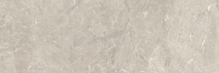  Villeroy & Boch Tri.Art Dolomia Grey 40x120 cm Wandtegel Mat Vlak CeramicPlus 1454 BS70 0 | 313430