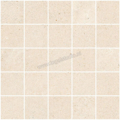  Sant Agostino Unionstone 2 Olimpia Avorio 30x30 cm Mozaiek 5x5 Mat Vlak Naturale CSAMOLAV30 | 314300