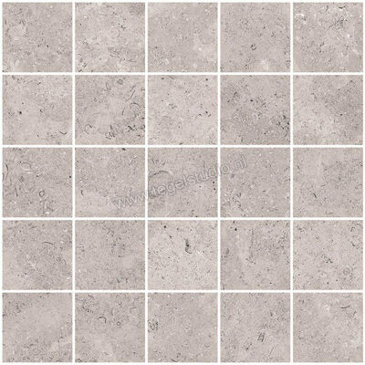  Sant Agostino Unionstone 2 Cedre Grey 30x30 cm Mozaiek 5x5 Mat Vlak Naturale CSAMCEGR30 | 314303