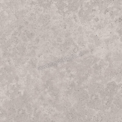  Sant Agostino Unionstone 2 Cedre Grey 90x90 cm Vloertegel / Wandtegel Mat Vlak Antislip CSACEGRA90 | 314306