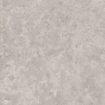  Sant Agostino Unionstone 2 Cedre Grey 60x60 cm Vloertegel / Wandtegel Mat Vlak Naturale CSACEGR660 | 314309