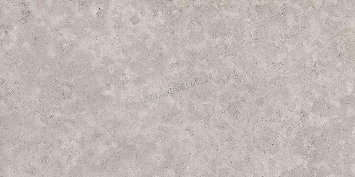  Sant Agostino Unionstone 2 Cedre Grey 60x120x2 cm Terrastegel Mat Vlak AS 2.0 CSACEGR212 | 314312