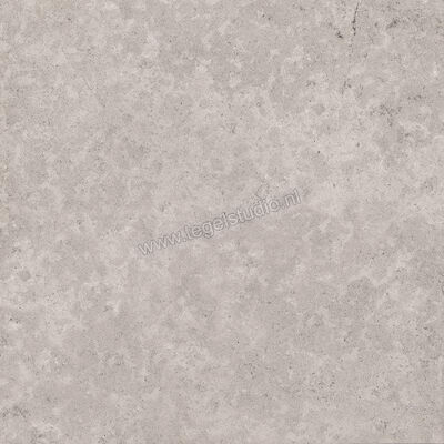  Sant Agostino Unionstone 2 Cedre Grey 120x120 cm Vloertegel / Wandtegel Mat Vlak Naturale CSACEDGR12 | 314324