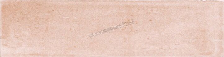 Heritage Nala Coral Brillo 6x24.6 cm Decor Glanzend Vlak HN2403 | 316027