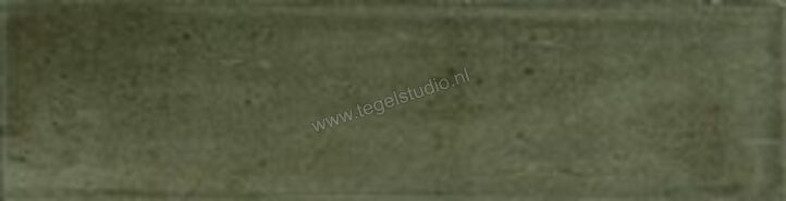 Heritage Nala Green Brillo 6x24.6 cm Wandtegel Glanzend Vlak HN2404 | 316030