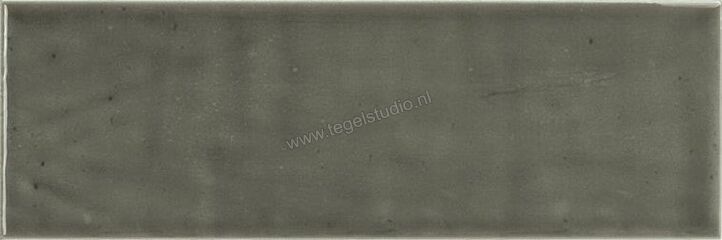  Topcollection Pim Pam Pum Pum Moss 10x30 cm Decor Glanzend Vlak AP3035 | 316306