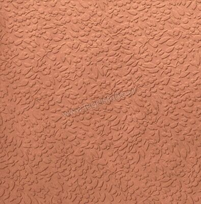  Topcollection Argillae Nisus Coral 60x60 cm Wandtegel Mat Gestructureerd AA6023 | 316366