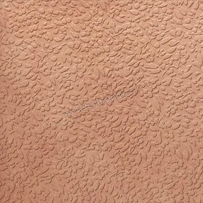  Topcollection Argillae Nisus Gobi 60x60 cm Wandtegel Mat Gestructureerd AA6022 | 316372