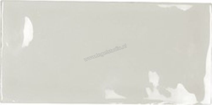 Carmen Memories Mist 6.5x13 cm Decor Glanzend Vlak AM6502 | 316573