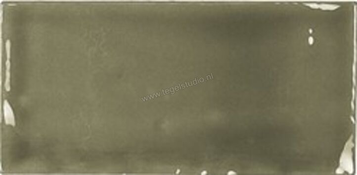  Topcollection Memories Victorian Green 6.5x13 cm Decor Glanzend Vlak AM6505 | 316582