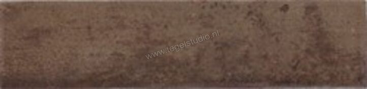 Carmen Magnetism Corten 6.3x25 cm Decor Mat Vlak AM2502 | 316714