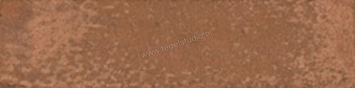 Topcollection Murus Terra 7x28 cm Decor Glanzend Vlak AM0704 | 316744