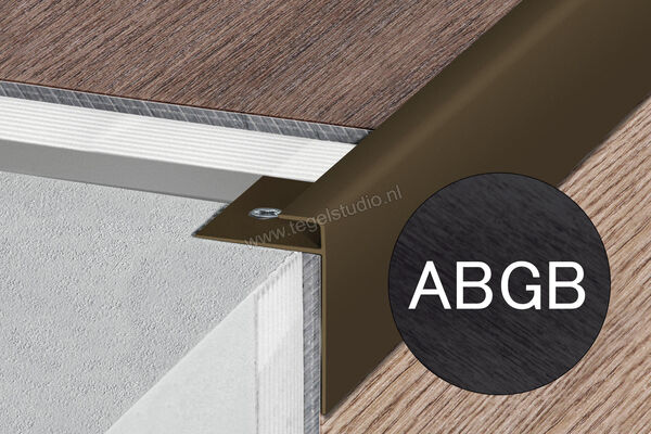  Schlüter Systems VINPRO-STEP-R Trapprofiel Aluminium ABGB - Alu, antiek brons geborsteld geanodiseerd Sterkte: 9 mm Lengte: 2,5 m VPSTRL90ABGB | 317413