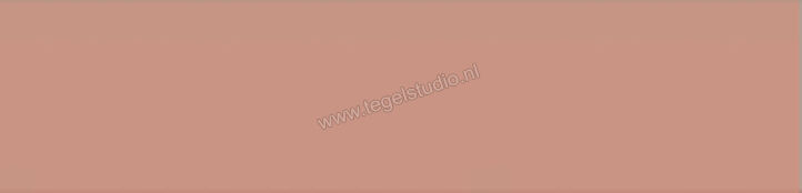  Wow Liso XL Cotto 7.5x30 cm Wandtegel Mat Vlak WS7507 | 318571