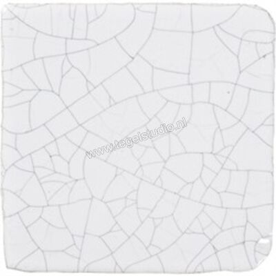 Alcoceram Malaga Craquele 10x10 cm Decor Glanzend Vlak MA1007 | 318937